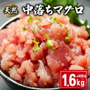 【ふるさと納税】 天然 中落ちマグロ 選べる容量 約480g～1.6kg ビンチョウマグロ メバチマグロ キハダマグロ まぐろ 鮪 刺身 赤身 肉 鉢マグロ ビンチョウ キハダ 中落ち 希少 ネギトロ マグロ漬け 海鮮丼 寿司 魚 海鮮 魚介 国産 千葉県 銚子市 和田水産