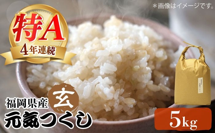 
            米 【特A】「元気つくし」5kg×1袋 [5kg] [玄米]《築上町》【株式会社ベネフィス】 [ABDF202] 令和7年産 米 ご飯 ごはん こめ コメ おにぎり 23000円
          