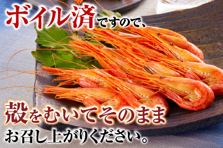 【北海道根室産】ボイル北海シマエビ600g B-42086