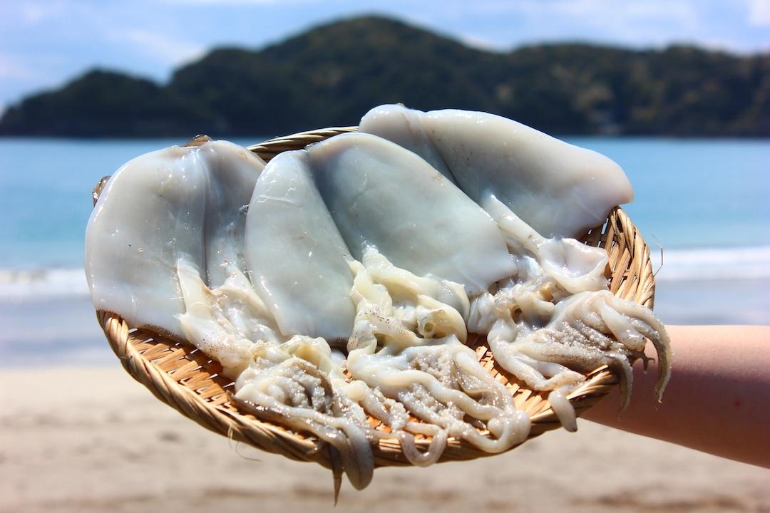 【伊豆漁協加工・直送！】アオリイカ 一夜干し 3枚　【 イカ アオリイカ 一夜干し ゲソ 新鮮 冷凍 直送 美味い おすすめ 水イカ 】