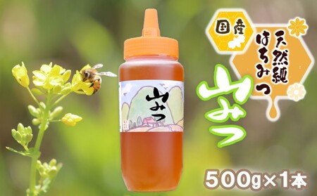 はちみつ 国産天然 やまみつ とんがり容器 はちみつ【500g】