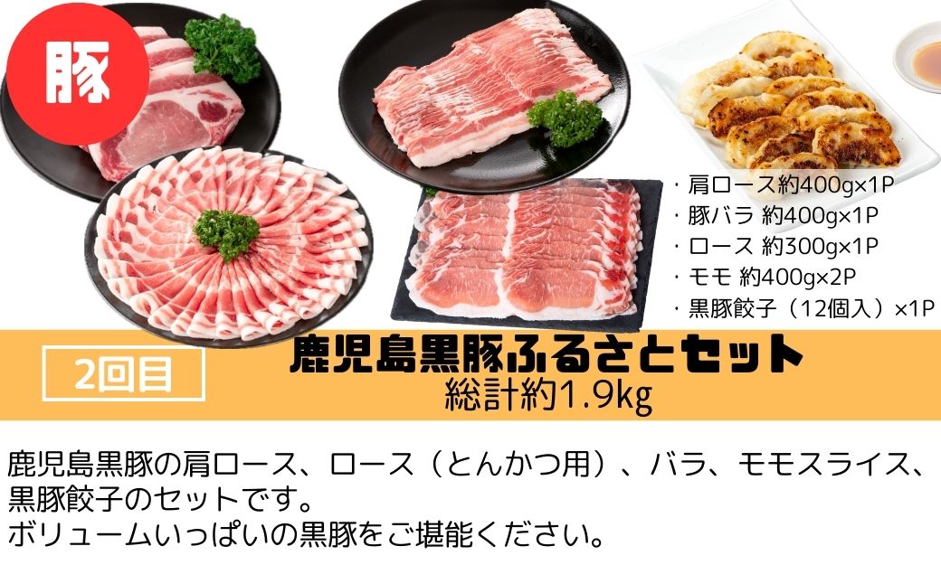 ＜定期便・全3回＞肝付町セレクト定期便《肉だらけ定期便A》