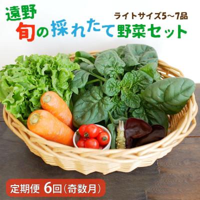 ふるさと納税 遠野市 【発送月固定定期便】奇数月発送 旬のとれたて野菜セット(5~7品)ライトサイズ全6回