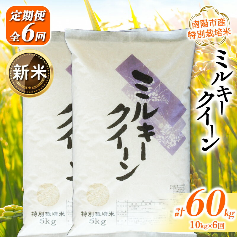 【ふるさと納税】 【令和8年産 新米 先行予約】 【金賞受賞農家】 《定期便6回》 特別栽培米 ミルキークイーン 計10kg(5kg×2袋)×6か月 《令和8年9月下旬～発送》 『あおきライスファーム』 山形南陽産 米 白米 精米 ご飯 農家直送 山形県 南陽市 [2416-R8]