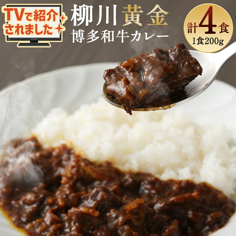 【ふるさと納税】【TVで話題!!】柳川黄金博多和牛カレー 200g×1箱～8箱＜選べる内容量＞ 博多和牛 カレー 黄金カレー スパイス付き お取り寄せ グルメ ギフト 贈り物 冷凍 送料無料