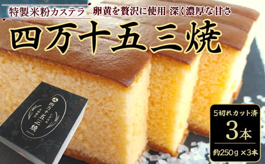 特製米粉かすてら 四万十五三焼 （約250g×3本） ／Bmu-A78