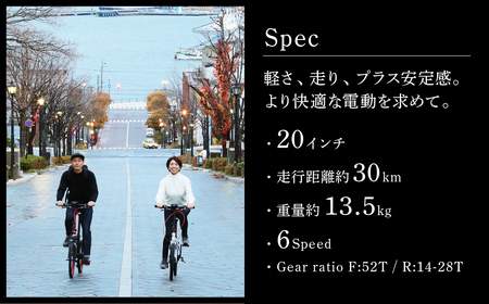 【ダークベージュ】電動アシスト自転車 トランスモバイリーNEXT206