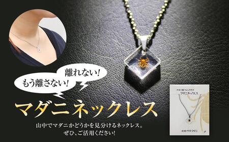 もう離さない！離れない！ マダニネックレス ｜ ネックレス ネックレス ネックレス ネックレス ネックレス 