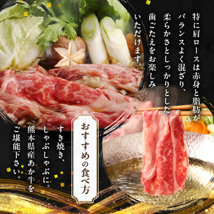 オアシス九州 熊本県産あか牛 肩ロース 600ｇ (300ｇ×2) _U117-0038