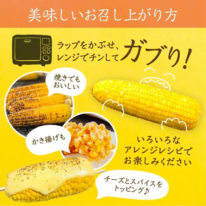 【先行予約】夜明けのスイートコーン 4kg×2箱 14-20本 [VCO002] コーン とうもろこし