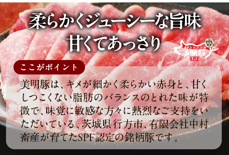 【2026年2月以降より順次発送】美明豚スープ餃子 2袋(博多豚骨スープ)｜餃子 ぎょうざ ギョウザ スープ餃子 美明豚 茨城県 行方市(HJ-9)