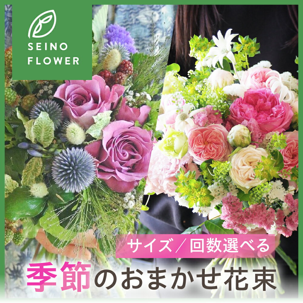 【ふるさと納税】季節のお花が届く 定期便 花束1束　サイズ選べる 定期便 1回 3回 6回 12回　フラワー フラワーアレンジメント 花 ギフト 季節の花 季節のお花 フラワーギフト プレゼント お祝い 誕生日 記念日 贈り物 生花