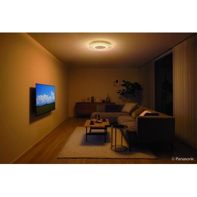 ふるさと納税 伊賀市 パナソニック　AIR PANEL LED　丸型 |  | 02