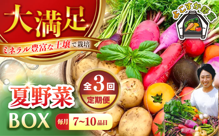 
            【先行予約】【全3回定期便】すずなり採れたて野菜BOX　(7～10品)  夏（5月～7月） 野菜  やさい 詰め合わせ 詰合せ 【鈴也ファーム】 [AKCE007]
          
