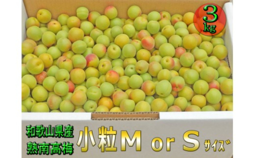 ［梅干・梅酒用］小粒（SまたはM−3Kg）熟南高梅＜2027年6月上旬～7月中旬発送予定＞フルーツ 果物 くだもの 食品 人気 おすすめ 送料無料［ART20］