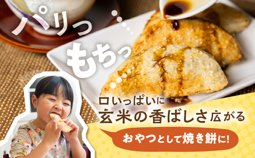 餅 玄米餅 有機JAS認証 取得 農家が作る 玄米餅 1袋(7枚入) 餅 