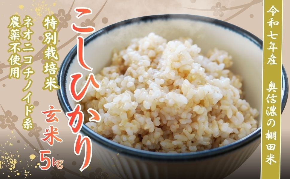 
                  【令和7年産】 特別栽培米 『奥信濃の棚田米 実の里』 こしひかり 玄米 5㎏ (7-21A) お米 コメ 白米 ご飯 長野県 信州 飯山市 令和7年 コシヒカリ
                