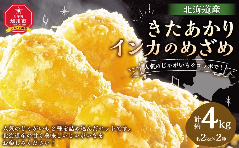 【2026年先行予約】じゃがいもをコラボで! きたあかり×インカのめざめ (各2kg) 10月下旬発送開始 【 インカの目覚め じゃがいも ジャガイモ いも 芋 ポテト 旭川 北海道 野菜 】_03649
