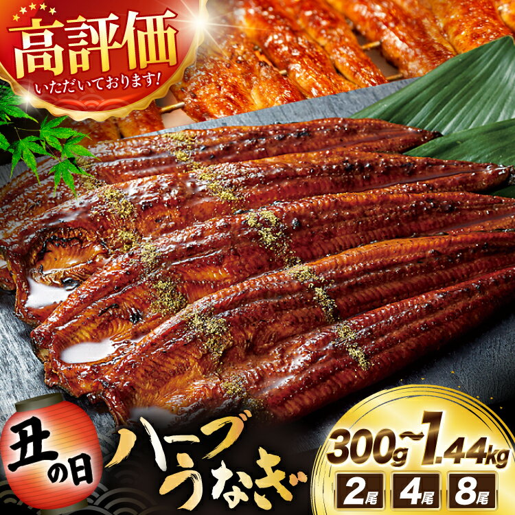 【ふるさと納税】 うなぎ 蒲焼 国産 宮崎県産 選べる 2尾〜8尾 ハーブうなぎ 高評価 4.83 [鰻楽 宮崎県 日向市 452061578] 父の日 土用 丑の日 土用の丑の日 蒲焼き 長焼き ウナギ 鰻 冷凍うなぎ 化粧箱入り ギフト 鰻楽 unagi ふるさと納税 大容量 大サイズ