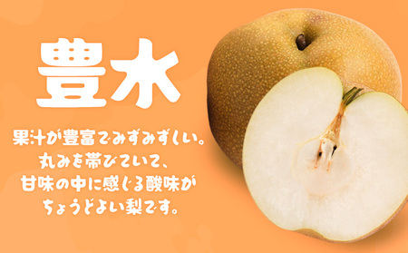 【2024年先行予約】石川梨・ぶどう園 梨 （豊水） 約5kg 数量限定 ※9月上旬以降発送 ナシ 果物 フルーツ 酸味 果汁 みずみずしい さっぱり お届け：2024年9月上旬～9月中旬
