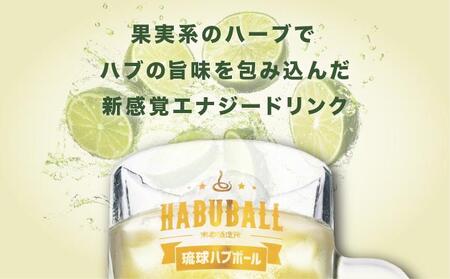 【2ヶ月定期便】琉球ハブボール350ml×24缶