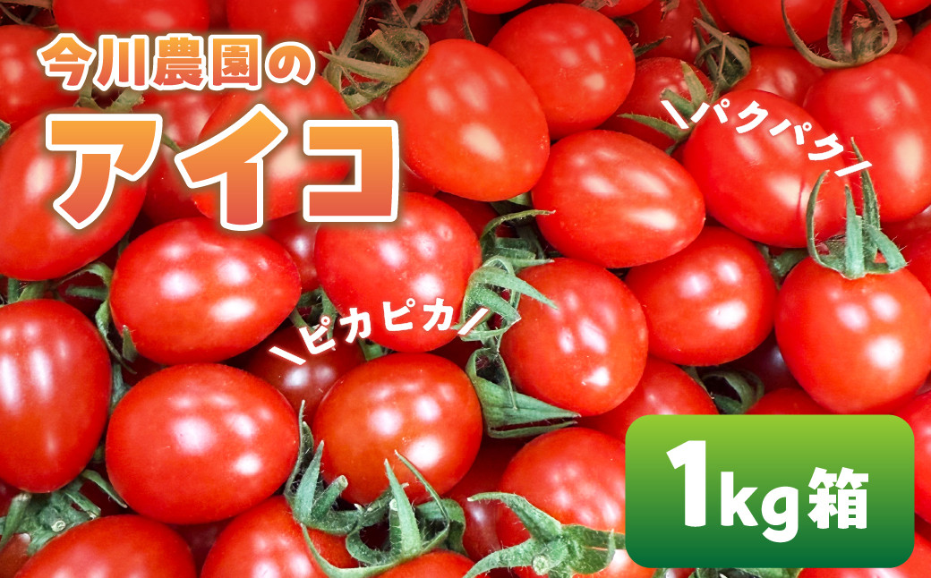 
            【ふるさと納税】【先行予約】今川農園のミニトマト アイコ 1kg 先行予約受付 期間限定 季節限定 野菜 国産 完熟 やさい フルーツ トマト 完熟 千果 ミニトマト イエロー プチトマト イエロートマト プチ お弁当 贈り物 おやつ サラダ 送料無料 産地直送
          