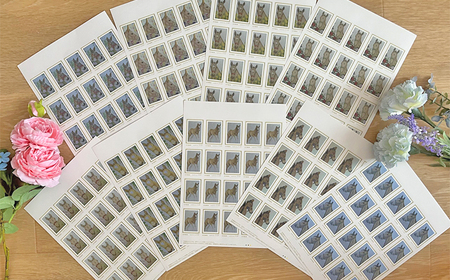 馬のまち栗東　馬と花のステーショナリーセットB / 切手 ポストカード メモ帳 クリアファイル 雑貨 / 栗東市 / nashira (nashira picture of horse)[BIBN00