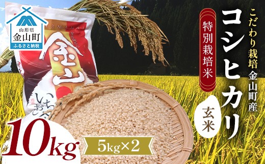 【令和7年度産】【数量限定】 特別栽培米 コシヒカリ玄米5kg×2 米 お米 ご飯 ブランド米 F4B-0763