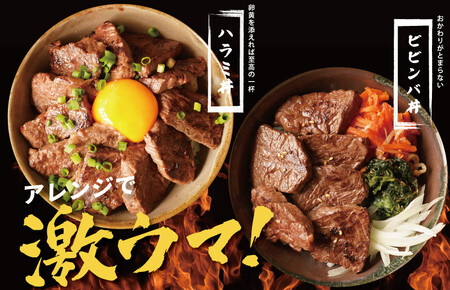 【丸善特製ダレ】牛肉 ハラミ 900g（300×3）