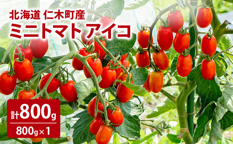 北海道 仁木町産 ミニトマト アイコ 800g [林果樹園]【トマト ミニトマト アイコ 高糖度 フルーツトマト 赤 サラダ パスタ スープ 常備菜 産地直送 旬 健康 リコピン ビタミンC 美容 ダイエット】
