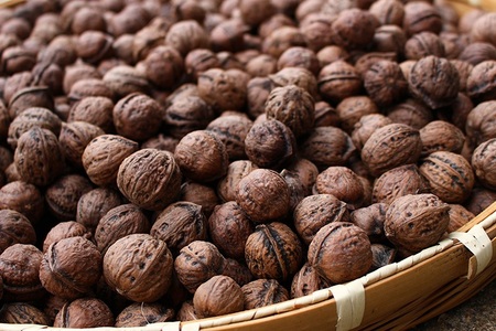 会津の鬼ぐるみ2kg　和くるみ割り器付き ※着日指定不可