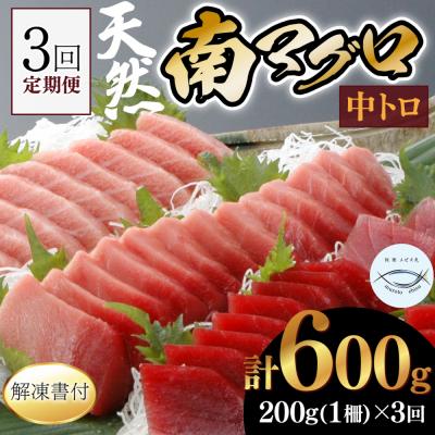 ふるさと納税 室戸市 【3回定期便】天然南マグロ　中トロ　1柵　解凍書付 海鮮 魚介 鮪 惣菜 冷凍 ミナミマグロ