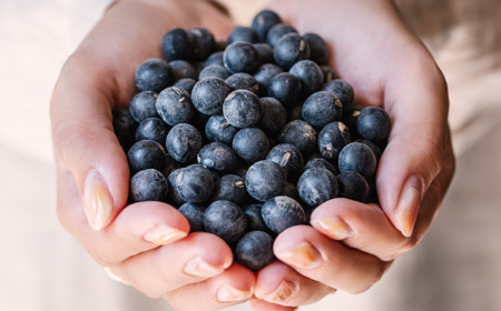 丹波篠山産 黒大豆 【令和7年産 新物 年内発送】 丹波黒 200g × 2袋（2Lサイズ・真空パック）黒豆  [Y083]