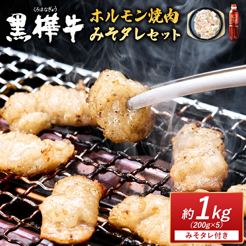 【ふるさと納税】黒樺牛 ホルモン焼肉 みそタレセット 約1kg 200g×5 焼き肉 牛肉 もつ 牛ホルモン 和牛 牛 ブランド牛 おかず BBQ バーベキュー 味噌 肉の日 冷凍 九州産 ギフト プレゼント 贈り物 送料無料 株式会社 杉本本店