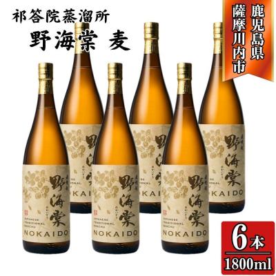 ふるさと納税 薩摩川内市 野海棠 麦焼酎 25度 1800ml×6本 祁答院蒸溜所 麦焼酎 焼酎 本格焼酎 GSR-303