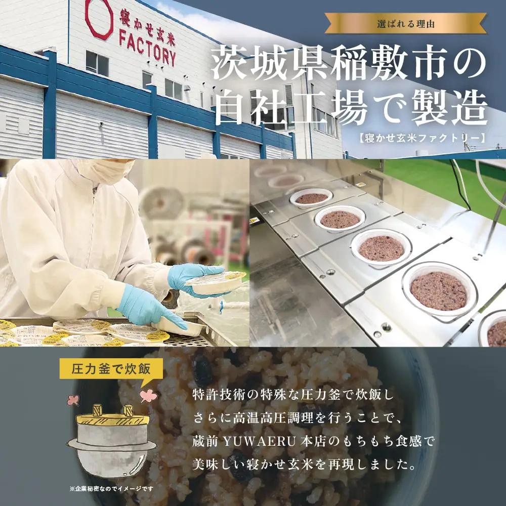 [定期便／3ヶ月] 寝かせ玄米ごはんパック 4種ミックス 160g×12食×3回 (1回あたり小豆ブレンド／黒米ブレンド 各4食、もち麦ブレンド／十五穀ブレンド 各2食) [2199]