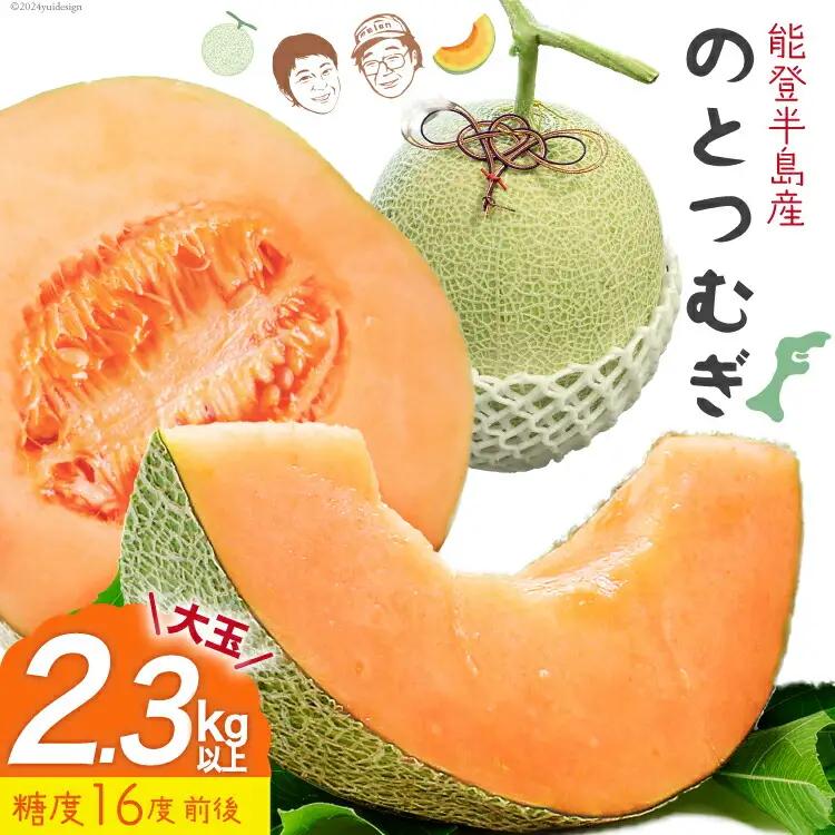 大玉 赤肉 メロン 能登産 のとつむぎ 約2.3kg以上 [つむぎ会 石川県 中能登町 27ag0021] めろん 果物 フルーツ 能登