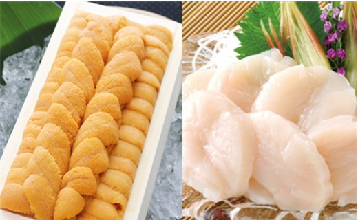 D-53029 エゾバフンウニ140g×1折、お刺身ホタテ貝柱500g×1P