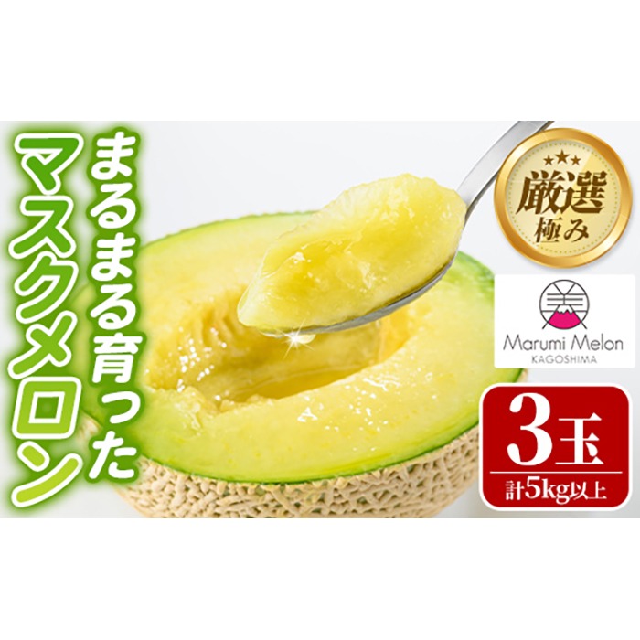 【0352206a】まるまる育ったマスクメロン(3玉・計5kg以上) マスクメロン フルーツ 果物 果実 5キロ 数量限定 期間限定【まる美園芸組合】