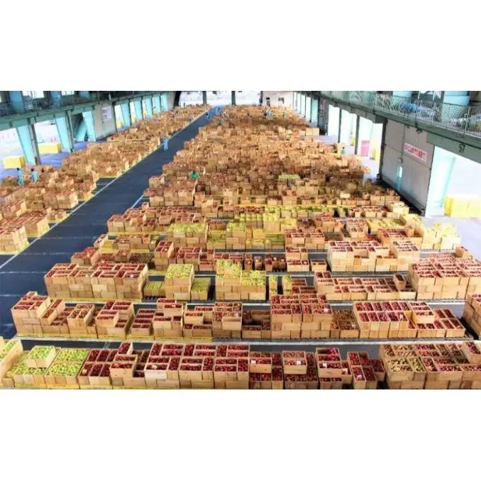 りんご詰合せ サンふじ王林 青森県産 贈答用 りんご詰合せ【約10kg】【11月発送】