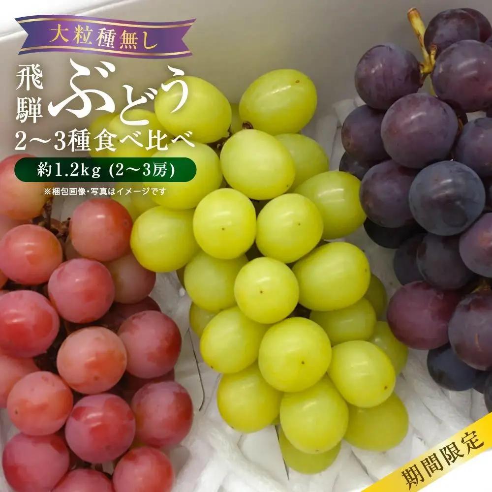 【先行予約 9月中旬～11月中旬発送】 季節の大粒種無しぶどう 詰め合わせ 約1.2kg（2房～3房）| ぶどう MA001