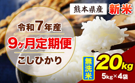 【9ヶ月定期便】令和7年産 定期便 こしひかり 20kg 新米 無洗米 阿蘇 うぶやま 米 定期便 熊本県産 ふるさと納税 精米 ひの 米 こめ ふるさとのうぜい コシヒカリ コメ お米 おこめ《お申込み翌月から出荷》