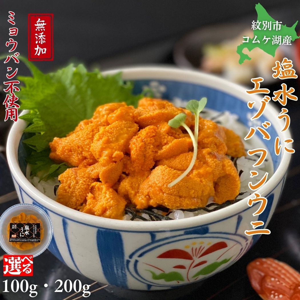 【ふるさと納税】無添加 塩水 生うに 冷蔵 塩水うに 新鮮 刺身 雲丹 小分け むき身 北海道 紋別市 ウニ 生ウニ バフンウニ 順次発送 旬 今だけ　7月20日まで受付｜ 無添加 紋別 北海道紋別市 コムケ湖産 塩水 生うに 冷蔵 塩水うに 新鮮 刺身 雲丹 小分け
