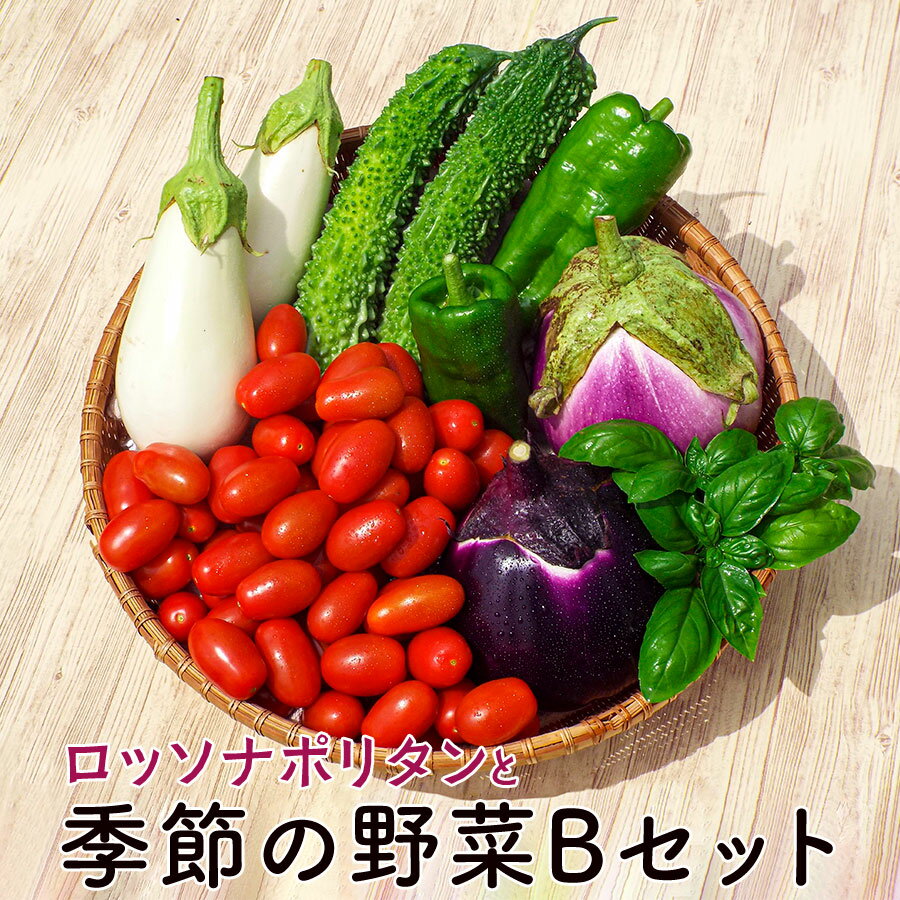 【ふるさと納税】期間限定！数量限定！高糖度ミニトマト『ロッソナポリタン』と季節のお野菜Bセット