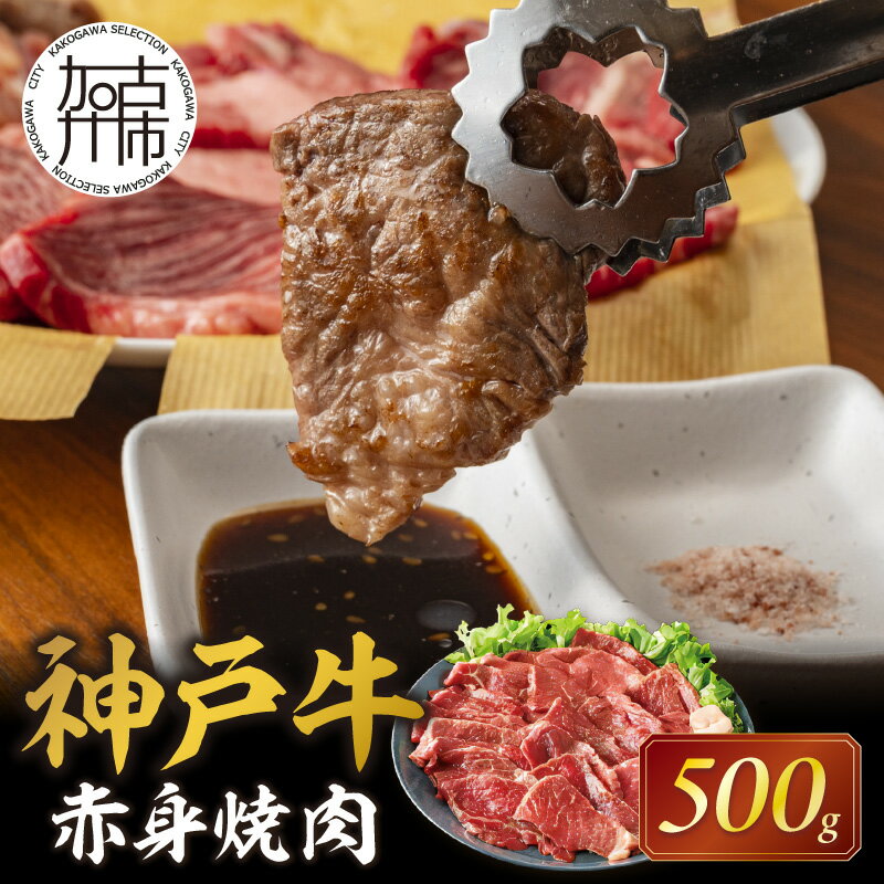 【ふるさと納税】★選べる発送月★神戸牛赤身焼肉(500g)《 肉 牛肉赤身 神戸牛 焼肉 国産 バーベキュー 和牛美味しい ギフト お取り寄せ おすすめ 選べる発送月 選べる発送月 贈答用 ギフト プレゼント 贈り物 》