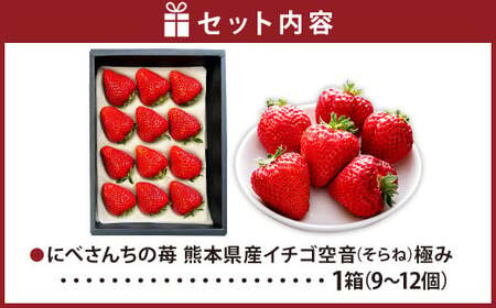 にべさんちの苺 熊本県産イチゴ空音(そらね)極み 【2025年1月下旬発送開始】