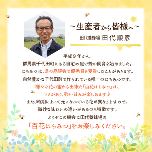 《2026年4月発送》 はちみつ 【千代田町の蜂蜜】600g 百花蜂蜜 群馬県 千代田町 ＜田代養蜂場＞※沖縄・離島配送不可 