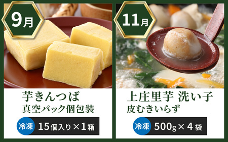 【越前おおの季節の恵み定期便 6回コース】 プレミアムCコース（奇数月お届け）