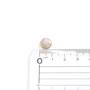【美濃焼】薄茶むらタイルピアス(直径10mm)【1396143】