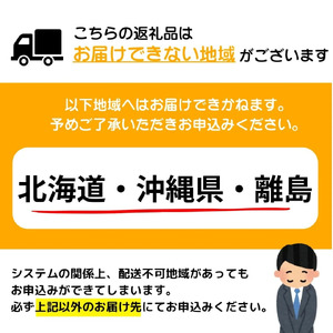 【2025年4月発送】2〜3人前 国産牛モツ入り 絶品塩もつ鍋（300g）